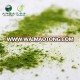 Quality Chinese Products Hand Harvester USDA Organic Matcha Tea