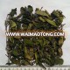 High Quality Best Price Organic White Tea